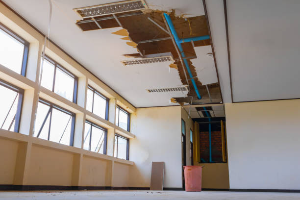 Best Water damage restoration specialists  in Newport, NC