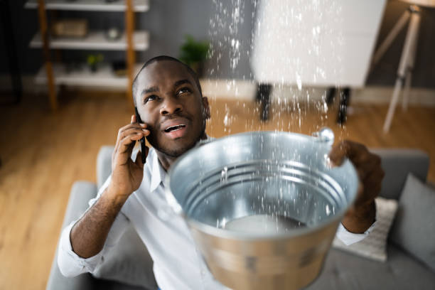 Best Mold removal after water damage  in Newport, NC