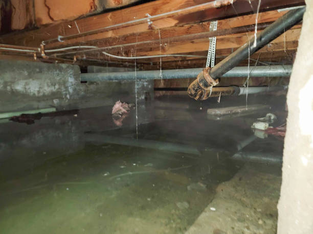 Best Sewage cleanup and water damage restoration  in Newport, NC