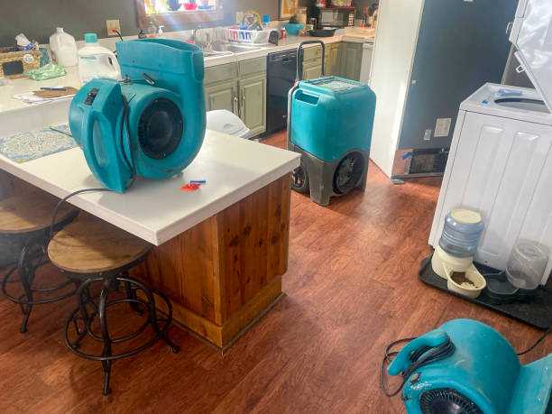 24/7 water damage repair in Newport, NC