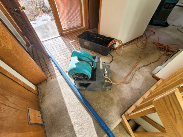 Best Commercial water damage restoration  in Newport, NC