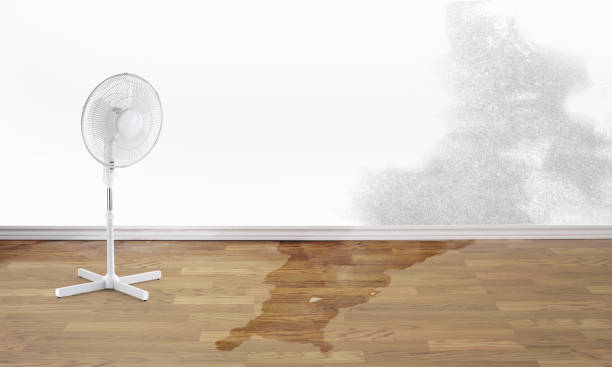 Professional Water damage restoration in Newport, NC