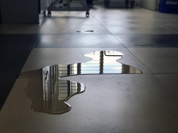 Best Water damage restoration near me  in Newport, NC