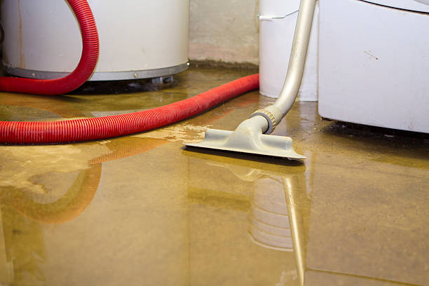 Water damage restoration mold remediation in Newport, NC